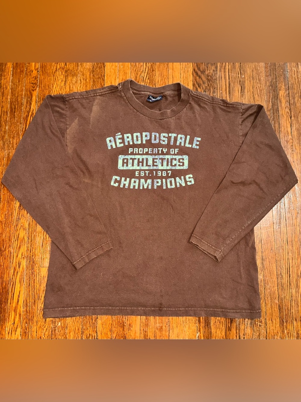 Vintage Y2K Men’s Large Aeropostale Baby Blue Brown Long Sleeve Graphic Shirt